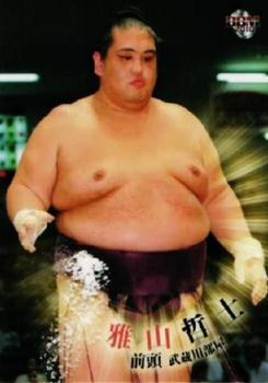 2010 BBM Sumo #29 Miyabiyama Tetsushi Front