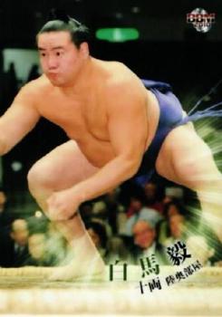 2010 BBM Sumo #44 Hakuba Takeshi Front