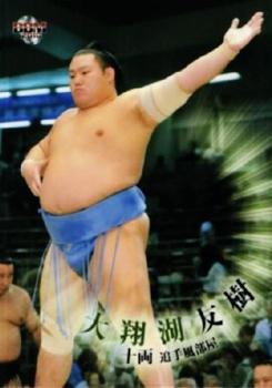 2010 BBM Sumo #62 Daishoumi Tomoki Front