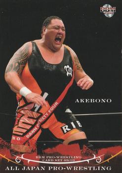 2009-10 BBM All Japan Pro Wrestling #29 Akebono Front