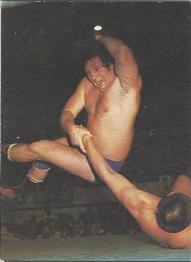 1976 Yamakatsu All Japan Pro Wrestling #14 Terry Funk Front