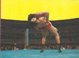 1976 Yamakatsu All Japan Pro Wrestling #25 Jumbo Tsuruta Front