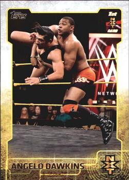 2015 Topps WWE - NXT Prospects #3 Angelo Dawkins Front