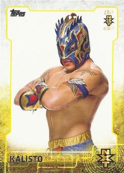 2015 Topps WWE - NXT Prospects #7 Kalisto Front