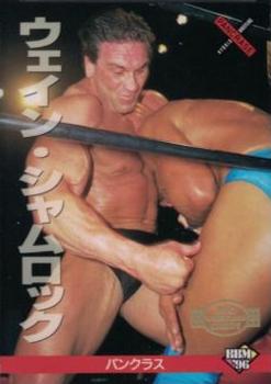 1996 BBM Pro Wrestling #181 Ken Shamrock Front