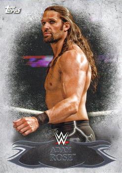 2015 Topps WWE Undisputed #62 Adam Rose Front