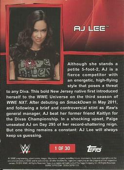 2015 Topps WWE Ringside Relic Dog Tags Inserts #1 AJ Lee Back