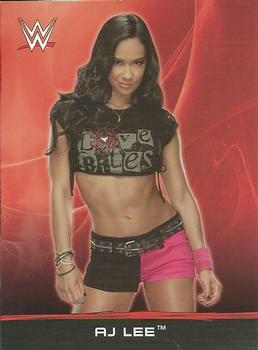 2015 Topps WWE Ringside Relic Dog Tags Inserts #1 AJ Lee Front
