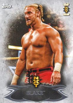 2015 Topps WWE Undisputed - NXT Prospects #NXT-6 Blake Front