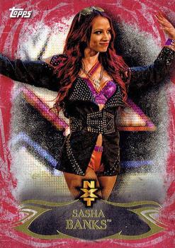 2015 Topps WWE Undisputed - NXT Prospects Red #NXT-2 Sasha Banks Front