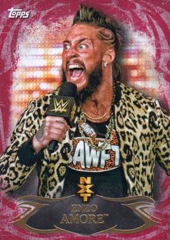 2015 Topps WWE Undisputed - NXT Prospects Red #NXT-9 Enzo Amore Front