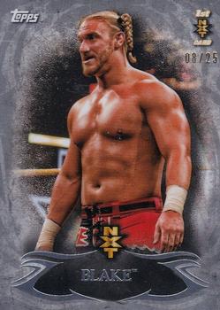 2015 Topps WWE Undisputed - NXT Prospects Silver #NXT-6 Blake Front