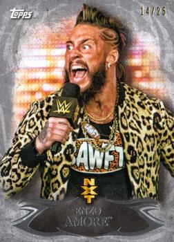 2015 Topps WWE Undisputed - NXT Prospects Silver #NXT-9 Enzo Amore Front