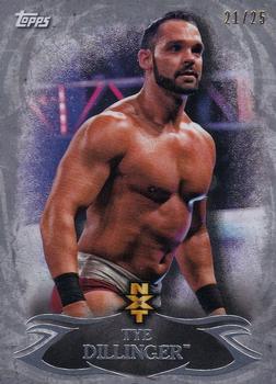 2015 Topps WWE Undisputed - NXT Prospects Silver #NXT-18 Tye Dillinger Front