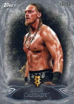 2015 Topps WWE Undisputed - NXT Prospects Silver #NXT-20 Colin Cassady Front