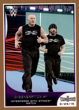 2016 Topps WWE Road to Wrestlemania - Bronze Border #10 D-Generation X Front