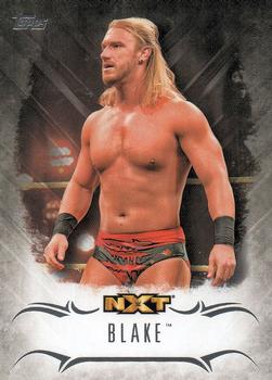 2016 Topps WWE Undisputed - NXT Prospects #NXT-10 Blake Front