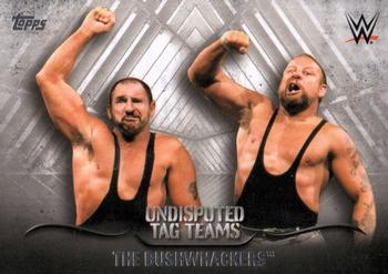 2016 Topps WWE Undisputed - Tag Teams #UTT-7 The Bushwhackers Front