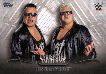 2016 Topps WWE Undisputed - Tag Teams #UTT-25 The Nasty Boys Front