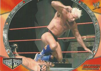 2004 Topps WWE RAW & SmackDown Apocalypse (English Edition) #F9 Ric Flair Front