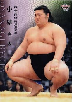 2017 BBM Sumo #66 Oyanagi Ryota Front