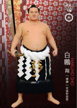 2016 BBM Sumo - Aya #2 Hakuho Sho Front