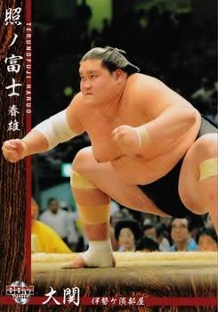 2016 BBM Sumo #4 Terunofuji Haruo Front