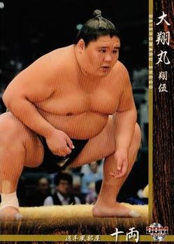 2016 BBM Sumo #65 Daishomaru Shogo Front