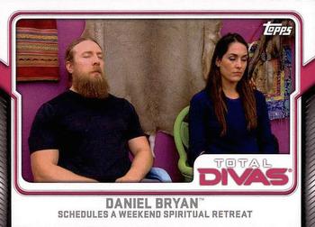 2017 Topps WWE - Total Divas #14 Daniel Bryan Front