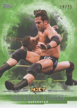 2017 Topps WWE Undisputed - Green #52 Roderick Strong Front
