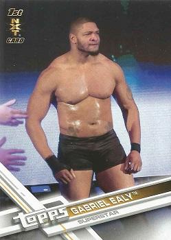 2017 Topps WWE Then Now Forever  - Roster Updates #R-36 Gabriel Ealy Front