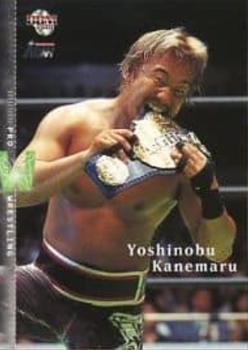 2001 BBM Pro Wrestling #219 Yoshinobu Kanemaru Front