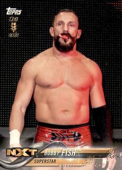2018 Topps WWE #15 Bobby Fish Front