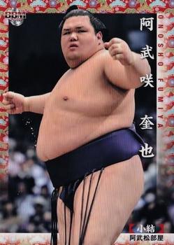 2018 BBM Sumo #10 Onosho Fumiya Front