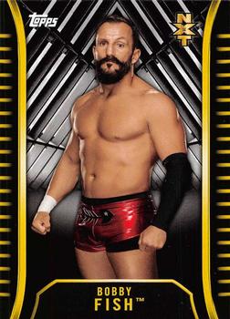 2018 Topps WWE NXT #R-7 Bobby Fish Front