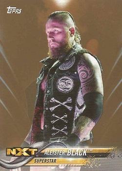 2018 Topps WWE - Bronze #5 Aleister Black Front