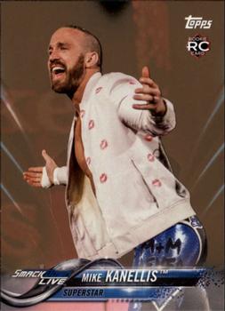 2018 Topps WWE - Bronze #59 Mike Kanellis Front