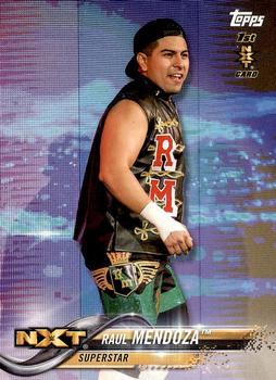 2018 Topps WWE Then Now Forever #160 Raul Mendoza Front