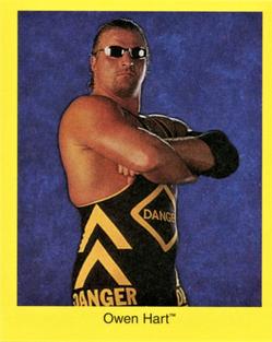 1998 Titan Sports WWF Wrestling Trivia Game 2nd Edition #NNO Owen Hart Front