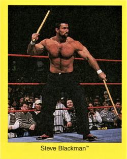 1998 Titan Sports WWF Wrestling Trivia Game 2nd Edition #NNO Steve Blackman Front