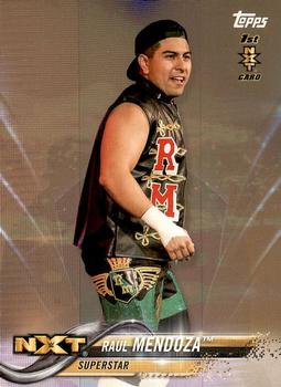 2018 Topps WWE Then Now Forever - Bronze #160 Raul Mendoza Front