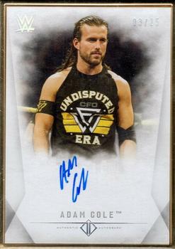 2019 Topps Transcendent Collection WWE #A-AC Adam Cole Front