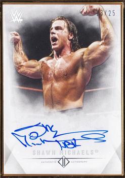 2019 Topps Transcendent Collection WWE #A-SW Shawn Michaels Front