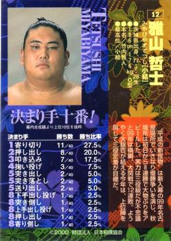 2000 BBM Sumo Kesho Mawashi #12 Miyabiyama Tetsushi Back