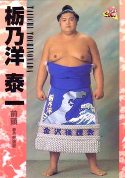 2000 BBM Sumo Kesho Mawashi #19 Tochinonada Taiichi Front