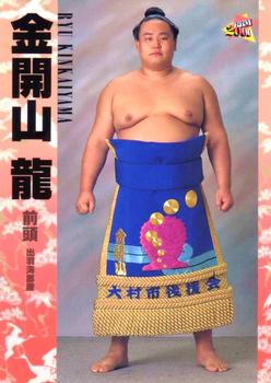 2000 BBM Sumo Kesho Mawashi #38 Kinkaiyama Ryu Front