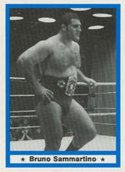 1991 Imagine Wrestling Legends #18 Bruno Sammartino Front