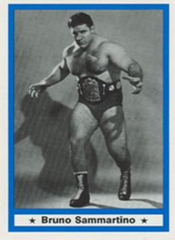 1991 Imagine Wrestling Legends #24 Bruno Sammartino Front
