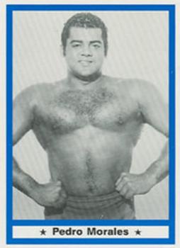 1991 Imagine Wrestling Legends #33 Pedro Morales Front