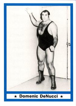 1991 Imagine Wrestling Legends #48 Dominic DeNucci Front